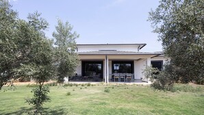 A modern house with a patio area, surrounded by olive trees.