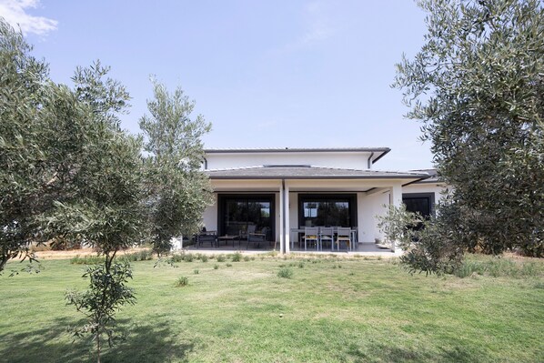 A modern house with a patio, surrounded by olive trees.