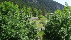 Ett bergigt landskap med tät skog och några få byggnader.