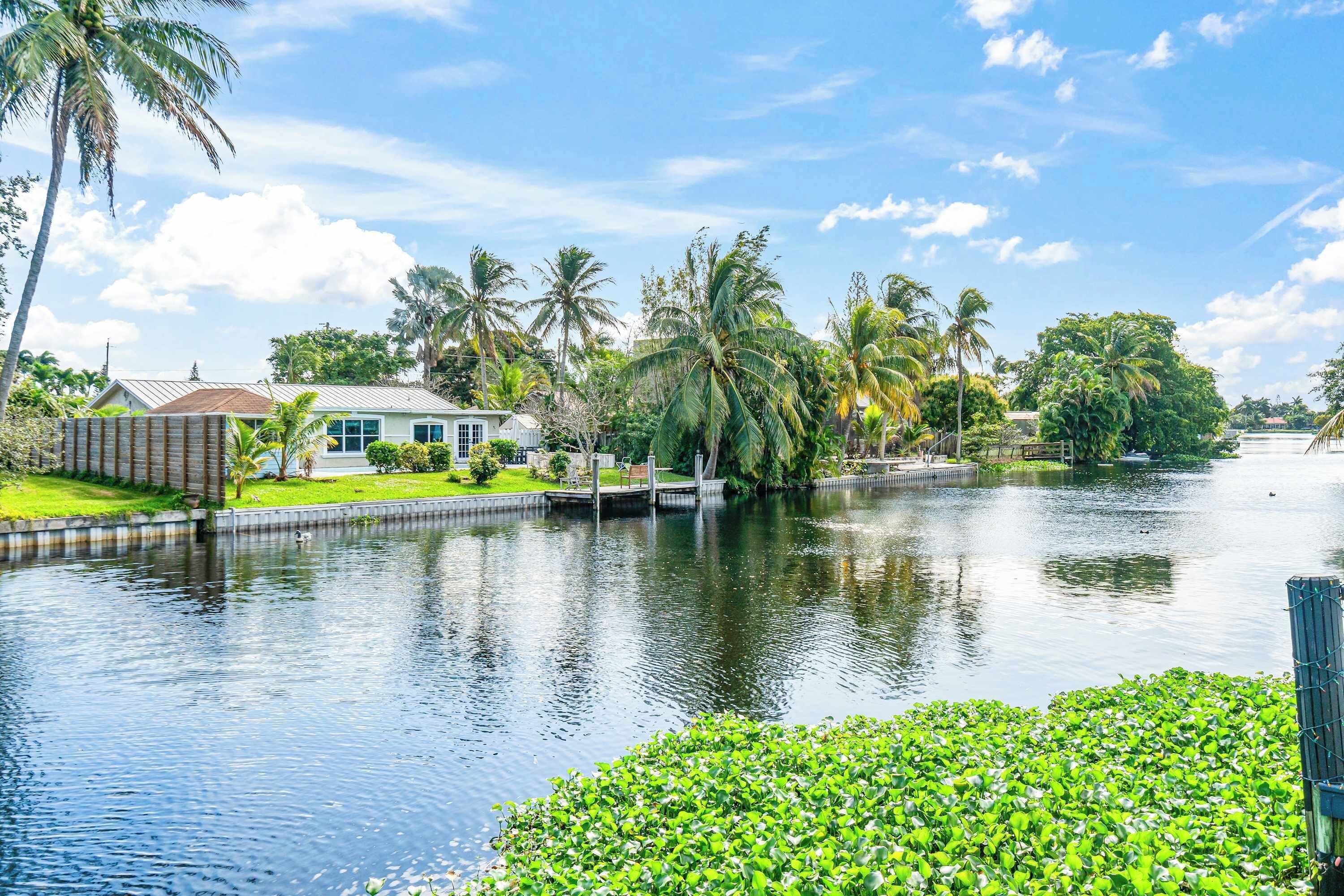A calm river with a house and palm trees on the bank.