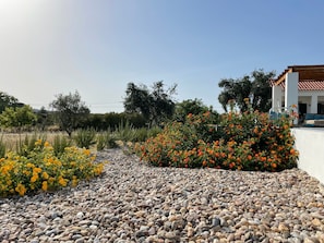Property grounds - Holiday Home 'Quinta das Rosas de Vide' with Mountain View, Private Pool and Wi-Fi (Castelo de Vide)