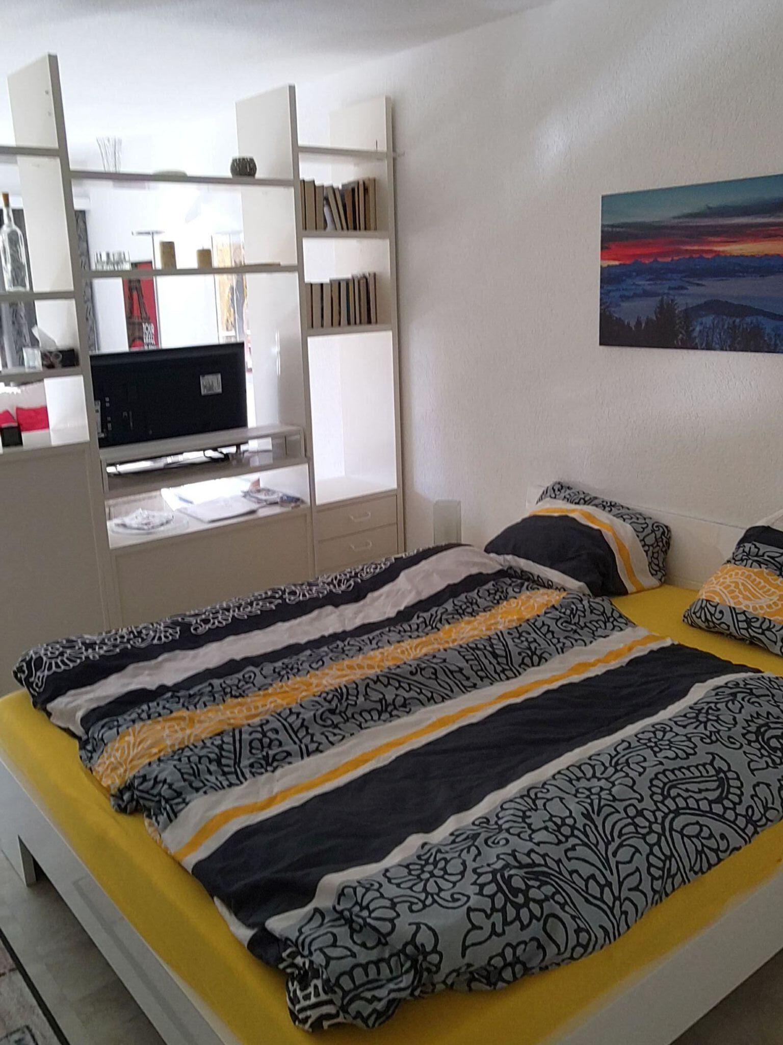 Un dormitorio con una cama, un escritorio y una estantería.