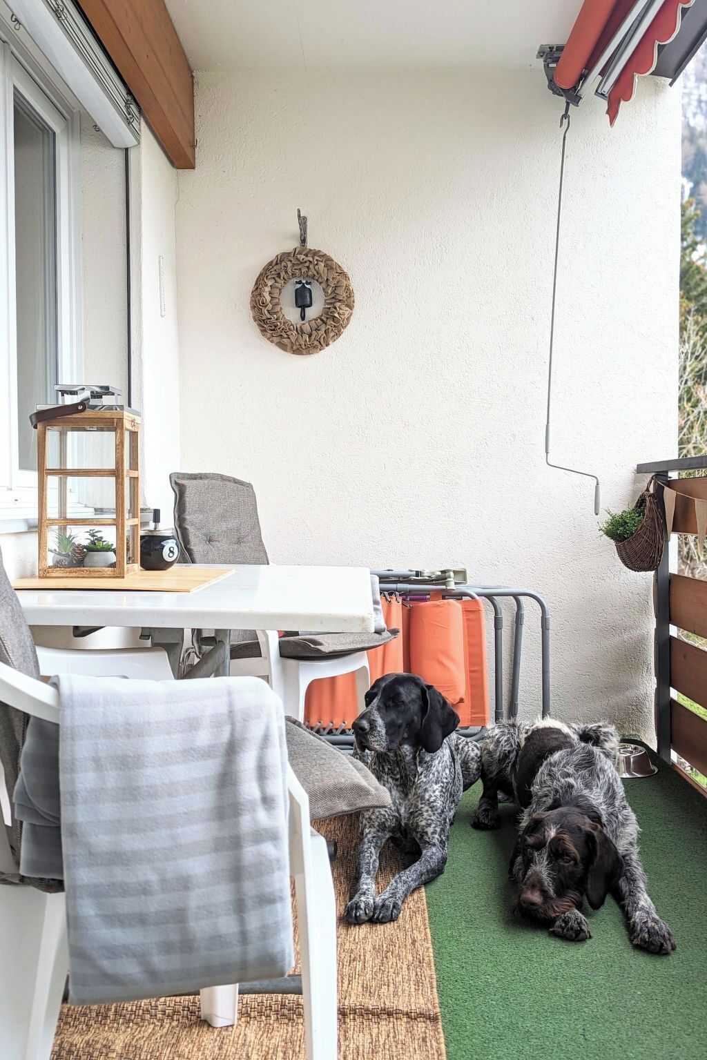 Un patio con una mesa, sillas, un perro acostado en el suelo y una lámpara fijada a la pared.