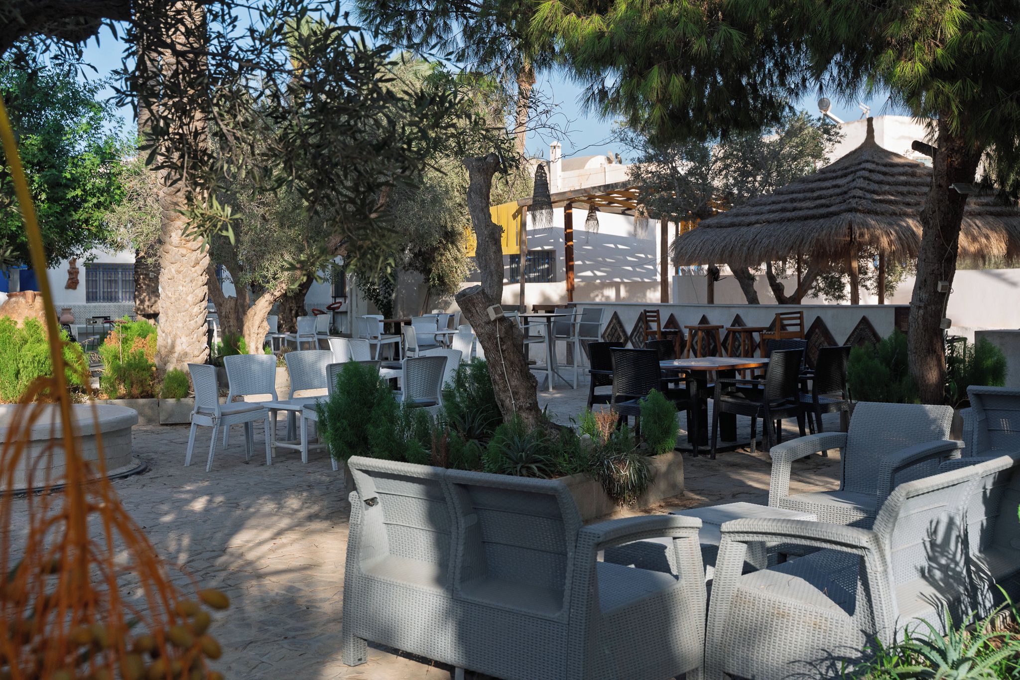 An outdoor seating area with wicker furniture, surrounded by trees and a building with a yellow facade.