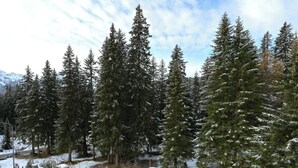 A snowy forest with tall evergreen trees and a clear sky. - Chesa Igna Appartement/Fewo, Bad, WC, 4-Bettwohnung by Interhome (Arosa)