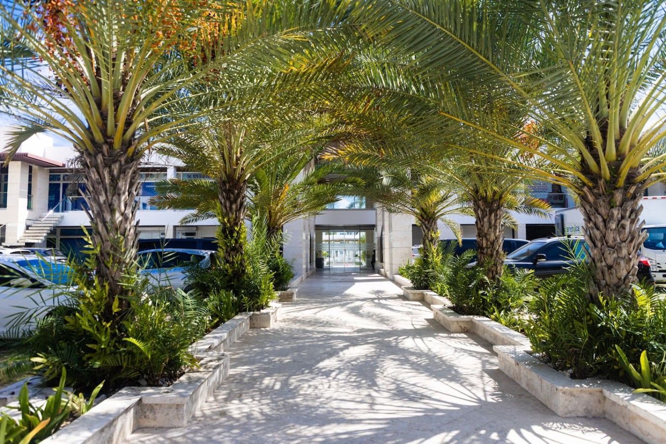 Un sendero bordeado de palmeras que conduce a la entrada de un edificio.