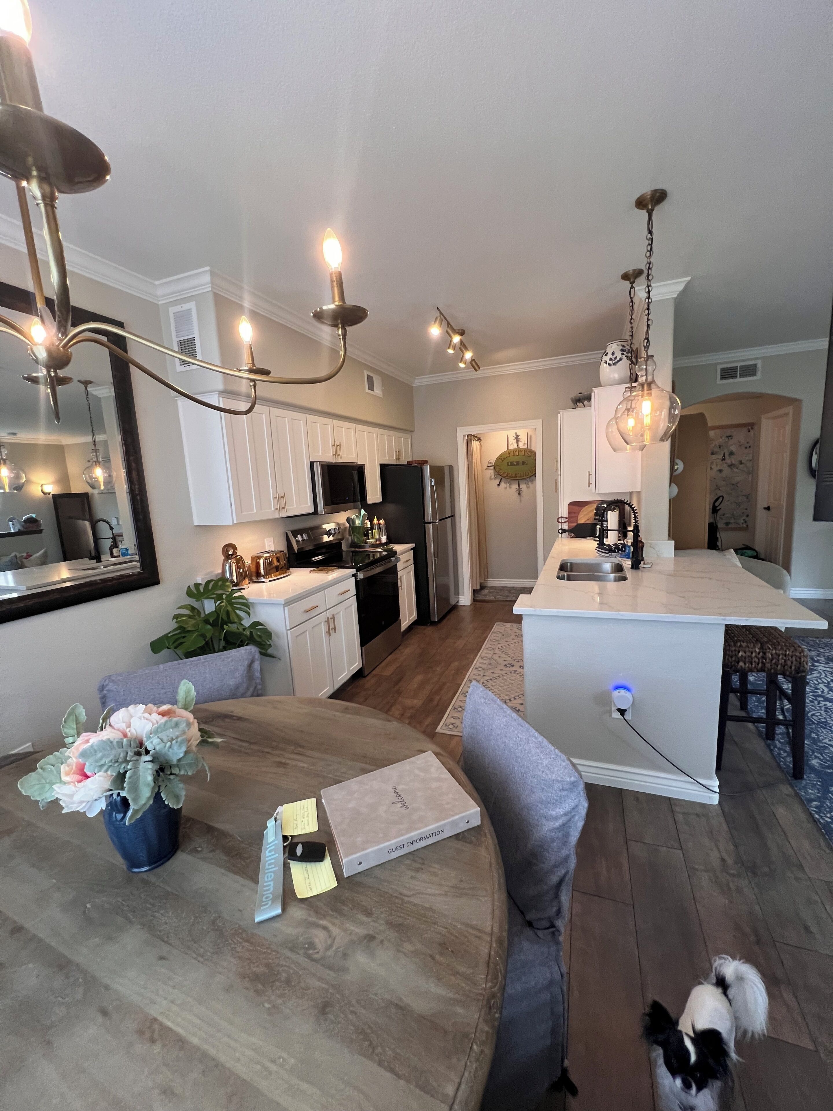 Una cocina moderna con armarios blancos, un comedor con mesa y sillas, y un perro pequeño.