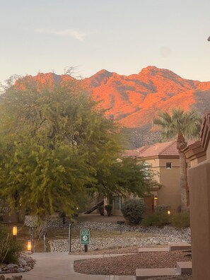 A residential area with a mountain in the background, a pathway leading to a building, and a sign indicating a leash policy for pets. - Cozy 1-bedroom condo, close to Sabino Canyon and great restaurants (Tucson)