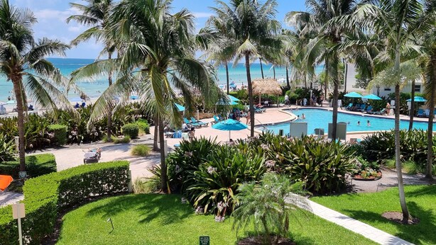 Un espace piscine agrémenté de palmiers, de chaises longues et offrant une vue sur la plage.