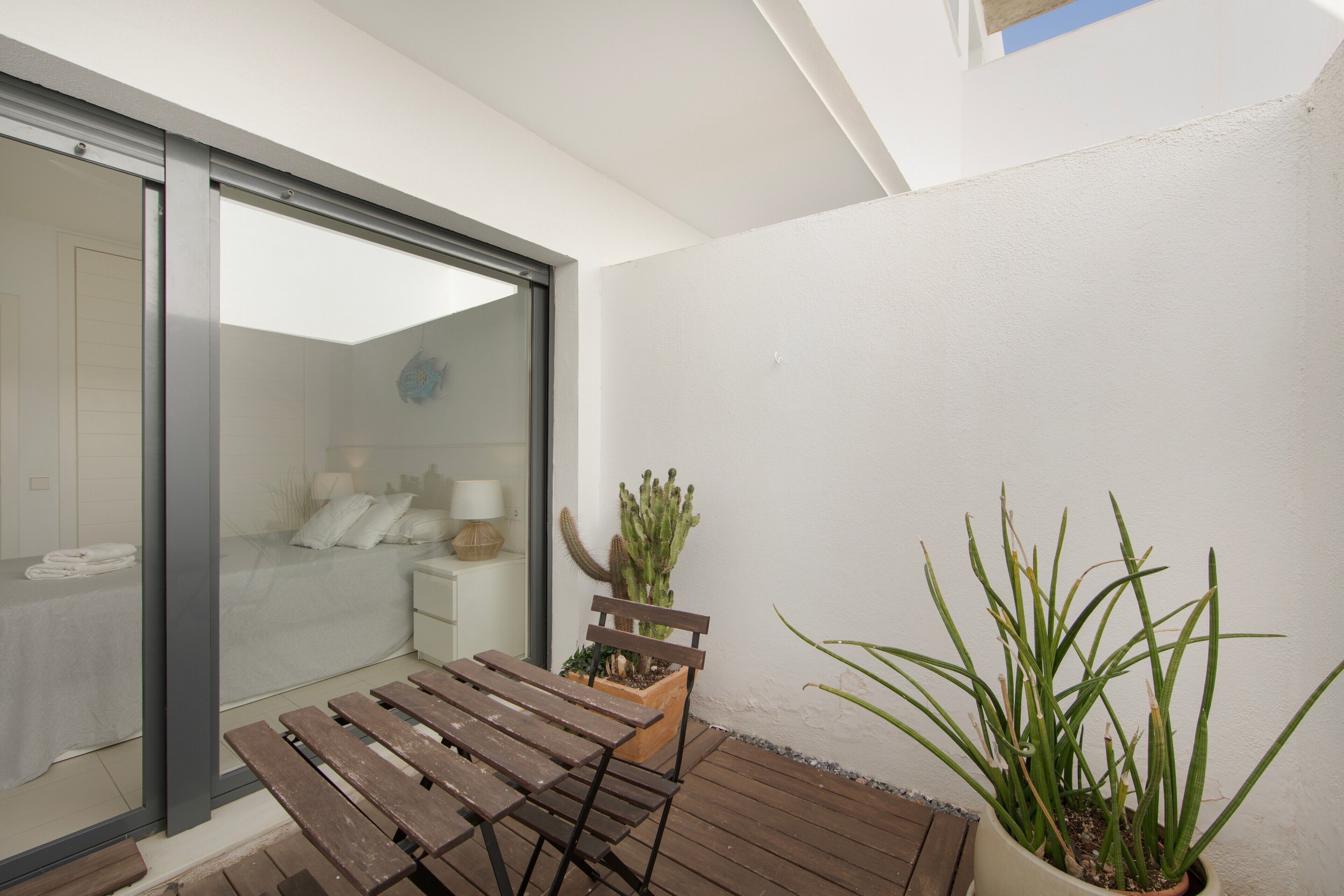 Una terraza de madera con un banco, un cactus en maceta y una planta alta de hojas largas.
