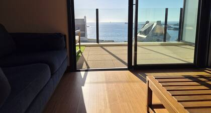 3 pièces 63 m2 avec balcon-terrasse de 20m2. Vue mer à couper le souffle.