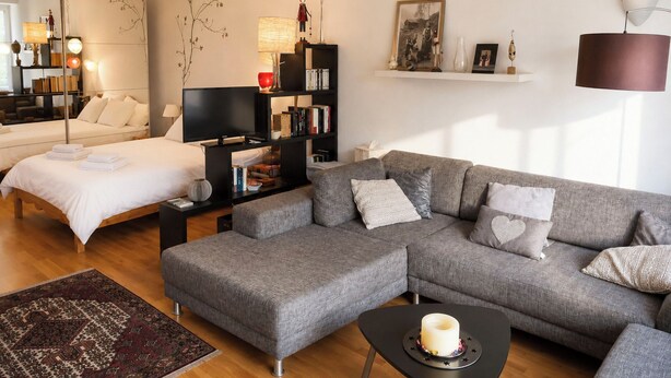 Una sala de estar moderna con un sofá, televisor, estantería y cama.
