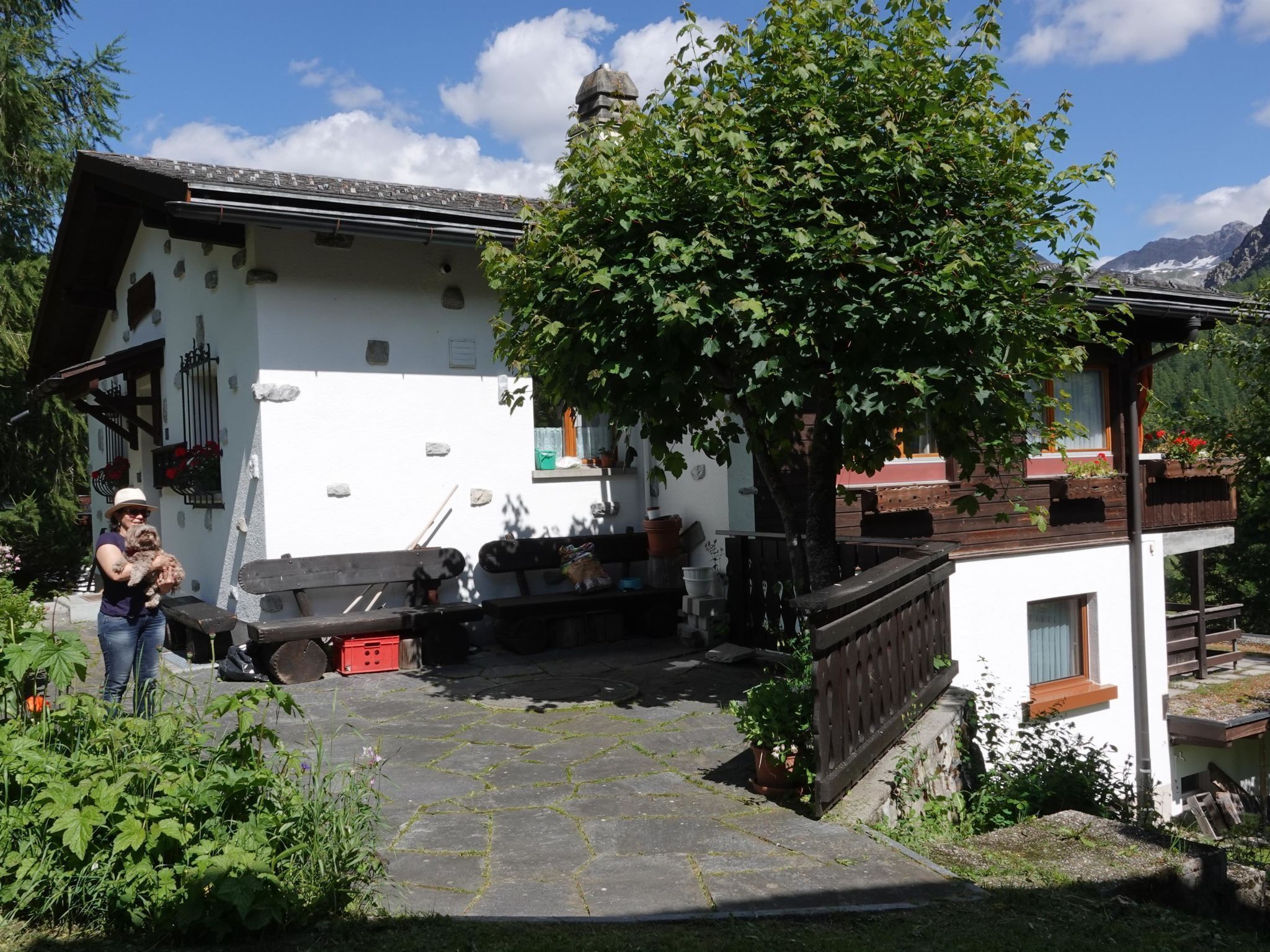 Àrea exterior de l'allotjament