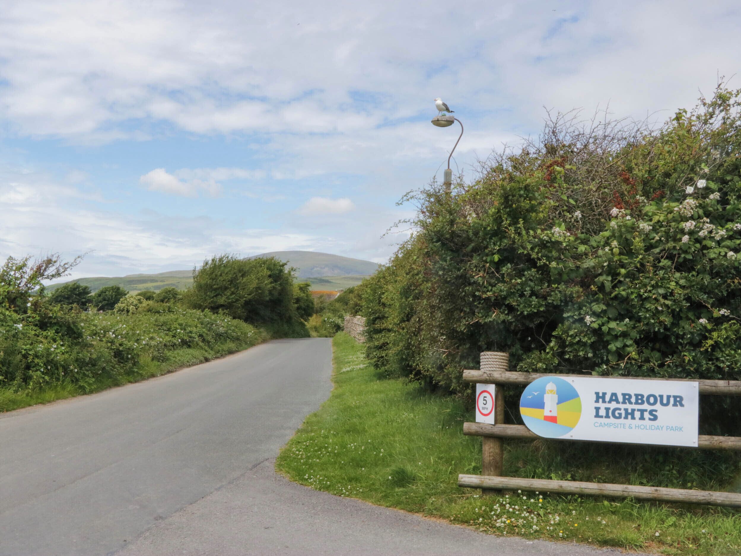 Een landweg met een bord voor Harbour Lights Campsite & Holiday Park.