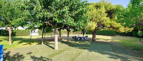 Un parque con árboles, una mesa de picnic y una zona con césped.