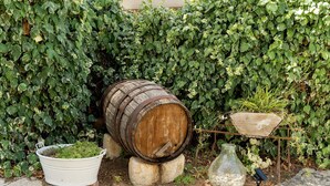 A rustic outdoor setting with a wooden barrel, a white bucket, and a glass jar. - NEW LIFE Villalba Resort - Room '101' with Shared Terrace, Wi-Fi and Air Conditioning (Villalba)