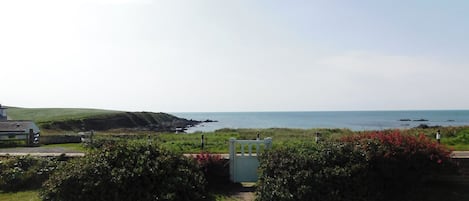 기타