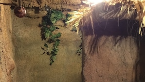 Un baño rústico con ducha, inodoro y una planta colgante.