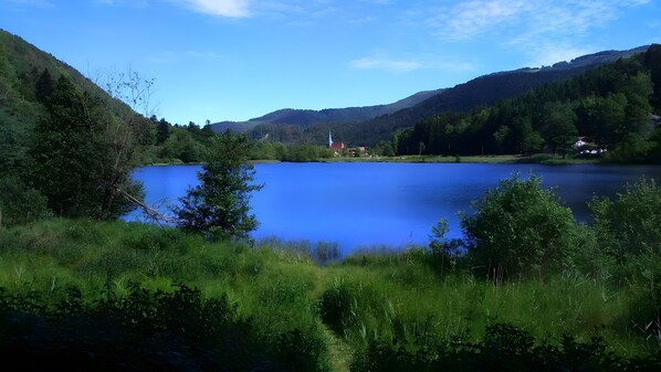 Un lago sereno rodeado de exuberante vegetación y colinas, con una iglesia visible a lo lejos.