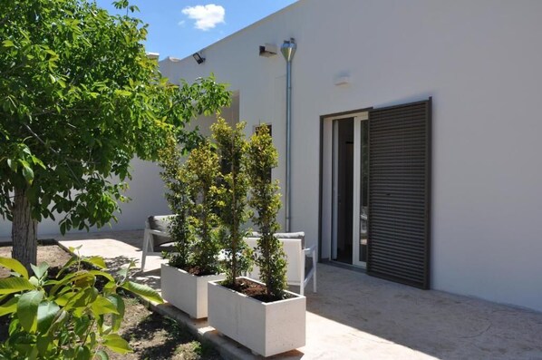 Un patio con paredes blancas, un farol de metal, una puerta con contraventanas cerrada y plantas en macetas.
