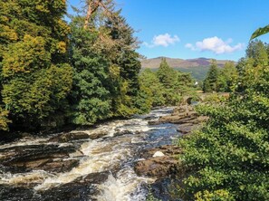 A river flowing through a forested area with a bridge in the background.