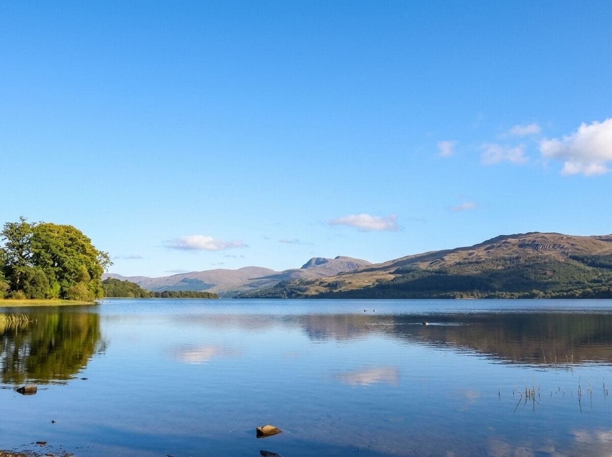 A calm lake with a clear sky, surrounded by hills and a tree on the left.