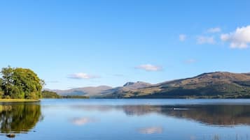 A calm lake with a clear sky, surrounded by hills and a tree on the left.