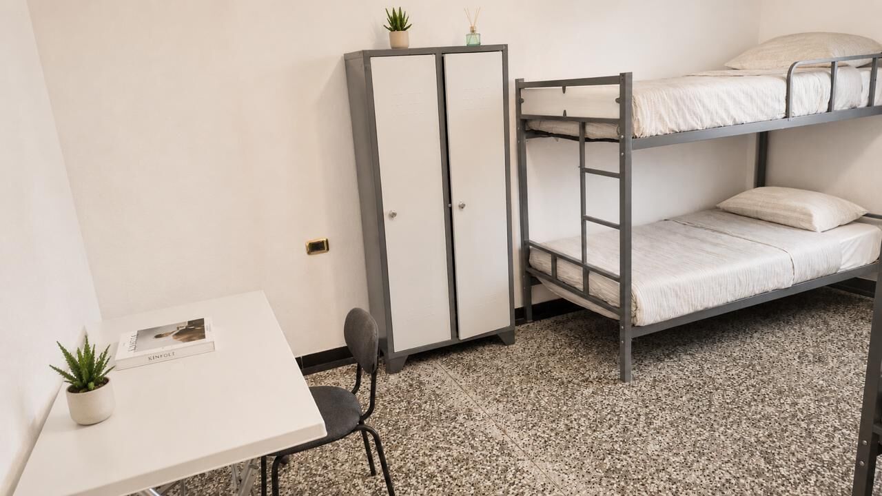 A bunk bed with a desk and chair, a wardrobe, and a small plant.