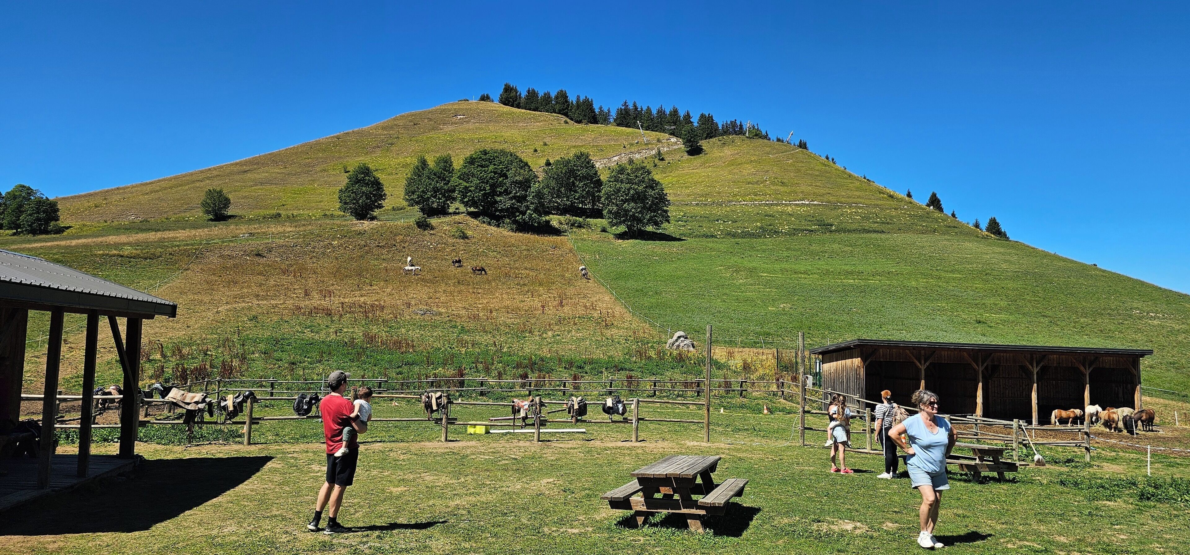 A grassy hill with a clear sky, picnic tables, and a wooden shelter.