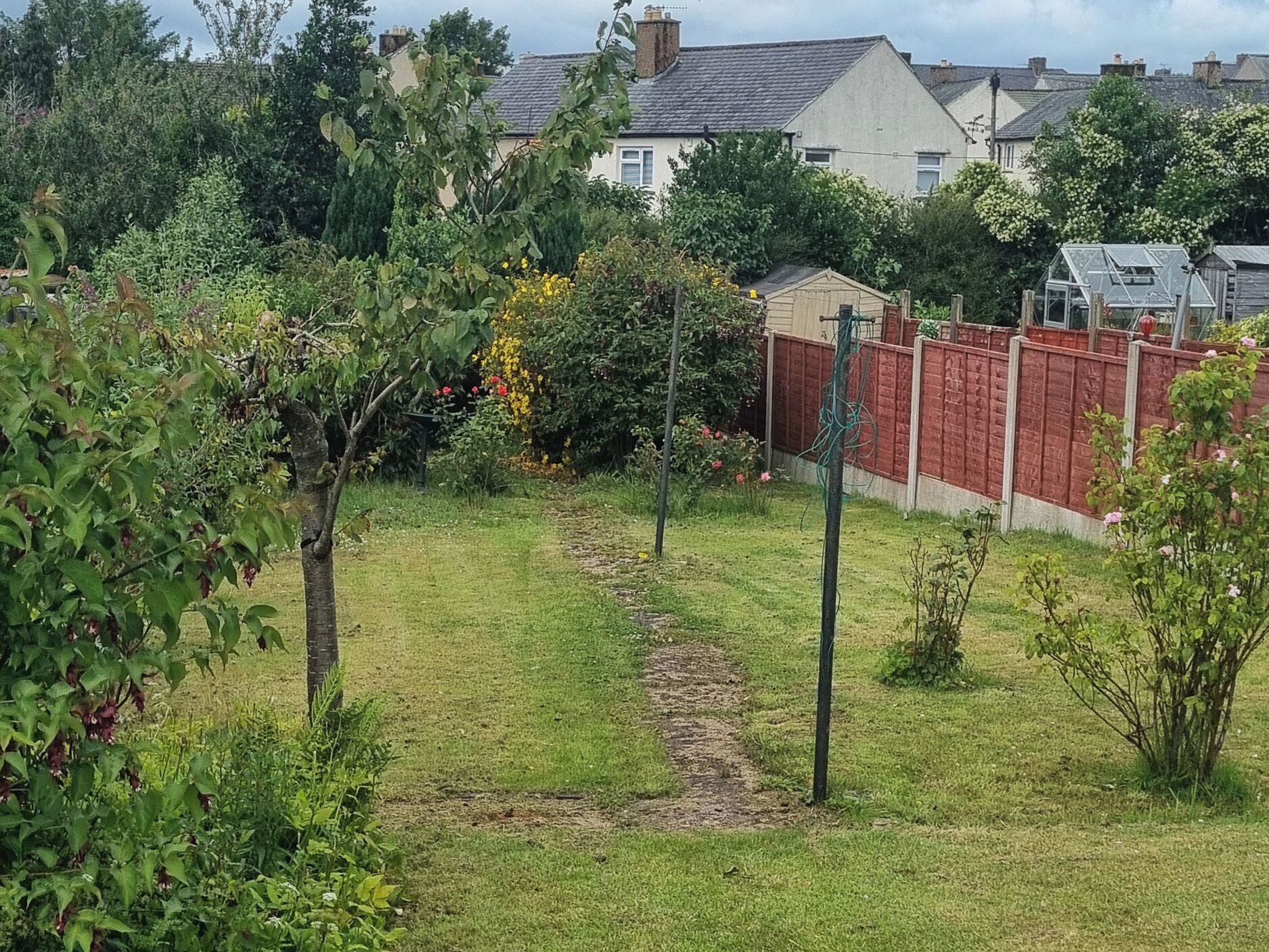 A garden with a path, various plants, and a red fence.