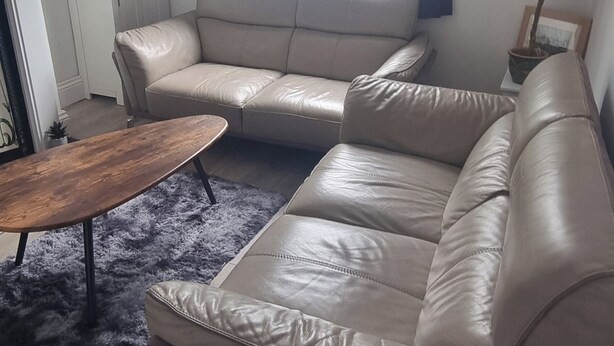 Un sofá de cuero color beige, una mesa de centro de madera, una alfombra mullida, una planta en maceta y un cuadro en un mueble blanco.