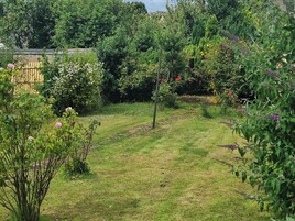 Un jardín con diversas plantas y una zona de césped.