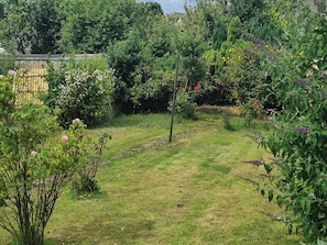 Un jardín con diversas plantas y una zona de césped.