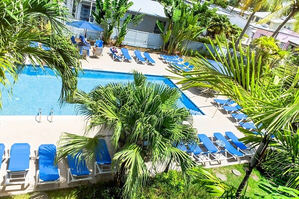 Zona de piscina con sillones reclinables azules y una palmera grande.