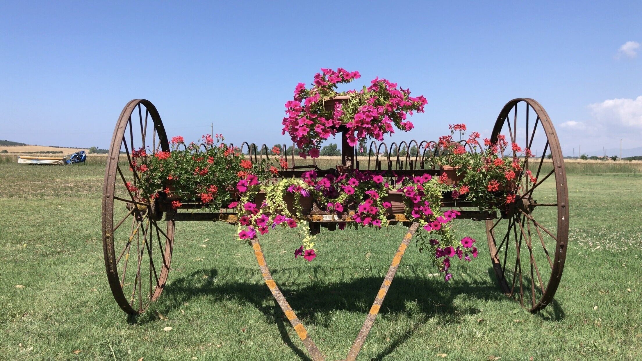Un carrito metálico antiguo con flores en un campo de hierba.