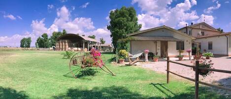 A rural property with a grassy lawn, a wooden fence, and a building with a thatched roof.