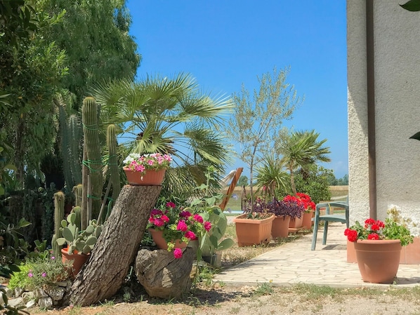 Property grounds - Apartment 'Appartamento 1' with Balcony, Wi-Fi and Air Conditioning (Grosseto)