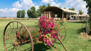Una ruota di carrozza rustica con fiori, una struttura coperta e un paesaggio rurale.
