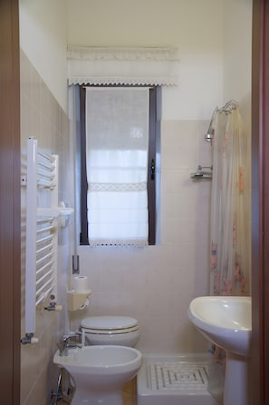 Dusche, Haartrockner, Handtücher
