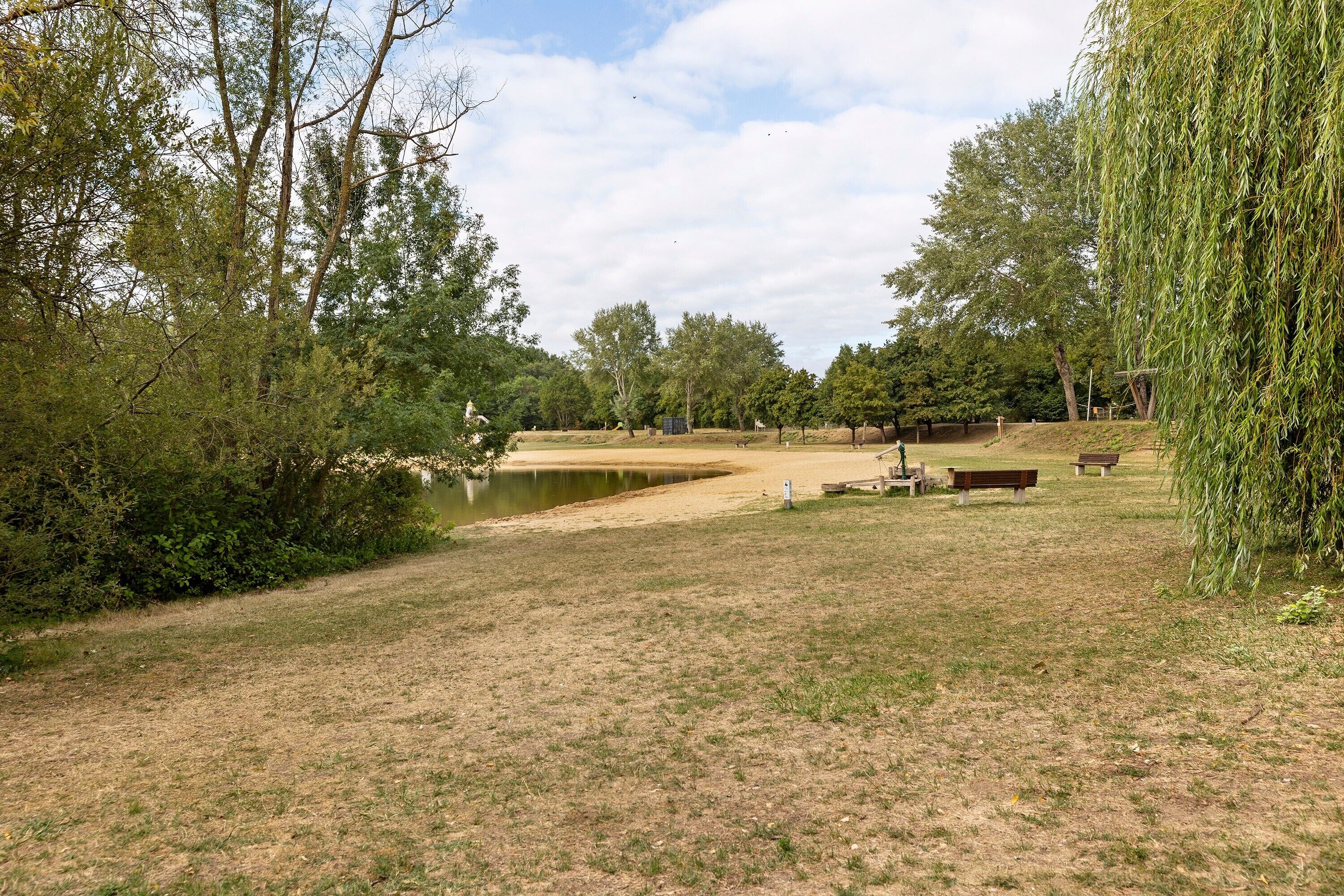 Ein Park mit Teich, Bänken und Bäumen.