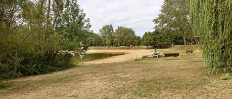 Ein Park mit Teich, Bänken und Bäumen.