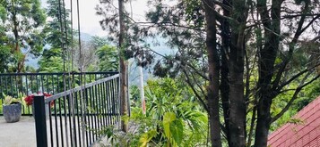 Vista a la montaña