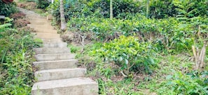 Exterior - Senu Ceylon Ella (Ella)