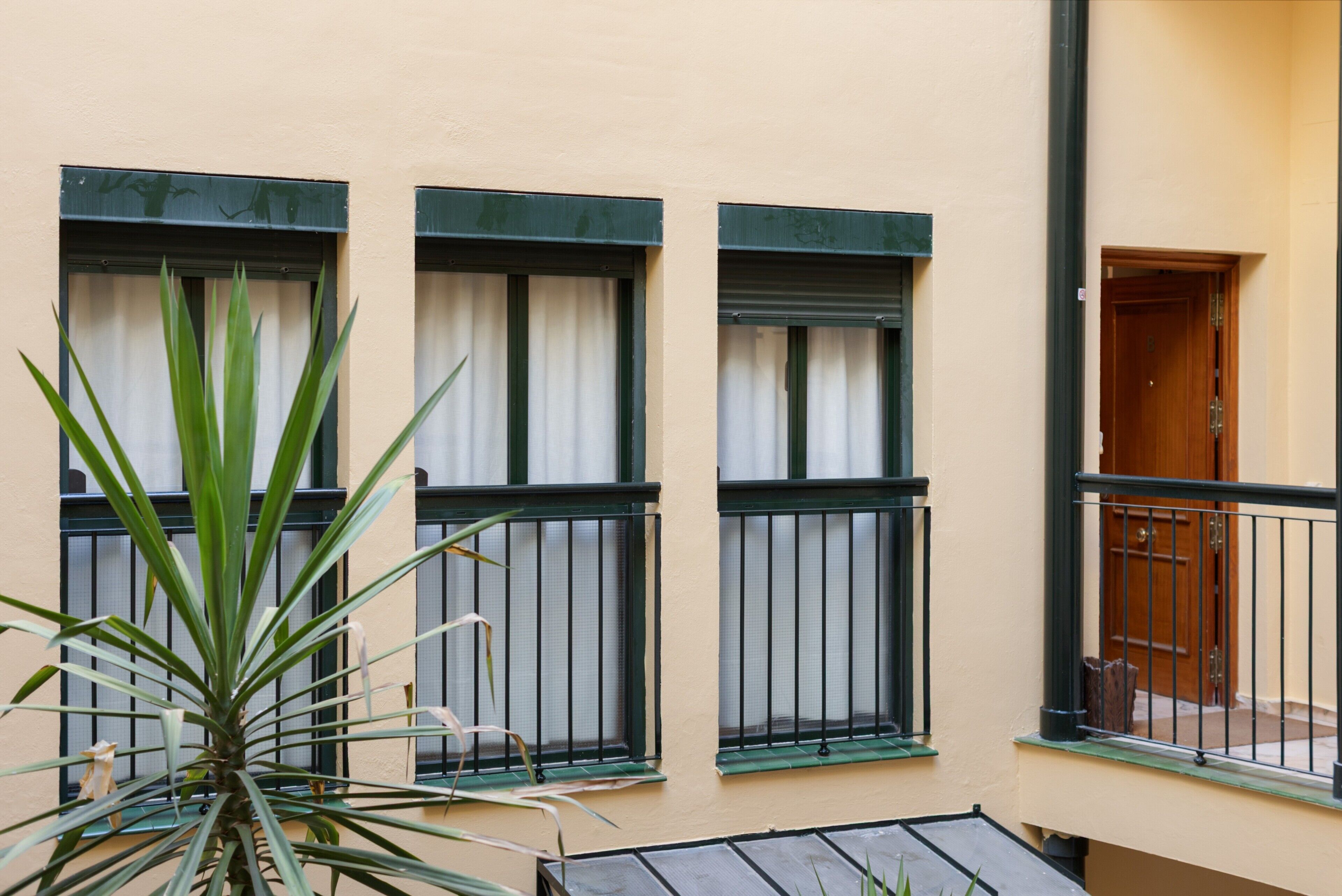A building facade with three windows, each with a green frame and white curtains.