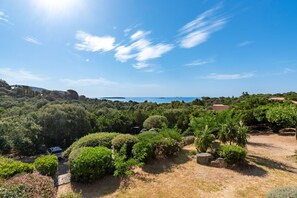 A lush landscape with a clear view of the sea, surrounded by dense greenery and a few buildings. - Casa di Palombaggia - Appt avec belle vue mer (Porto-Vecchio)
