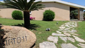 Une maison avec un chemin de pierre menant à l’entrée, un palmier et deux arbustes.