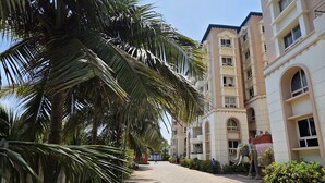 A paved pathway lined with palm trees, leading to a multi-story building with balconies and arched windows.