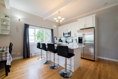 Large Cozy Home Recently Renovated. Walking Distance to Downtown and Amenities