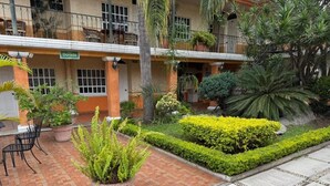 A courtyard with a brick pathway, potted plants, and a sign reading 'Dorada'. - HOTEL MEZVALL (Morelia)