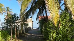 Un sentier bordé de palmiers qui mène à un bâtiment d’où l’on peut admirer la mer.